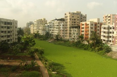 Niketon